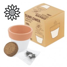 Vaso de Terracota "White"