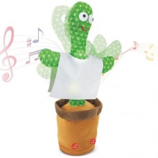 CÁCTUS DANÇARINO "PANCHITO"