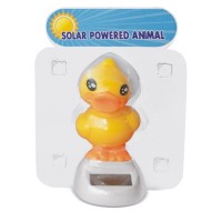 PATO SOLAR "DANÇARINO"(Bailarín)