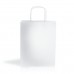 Saco de papel "Wkraft02"
