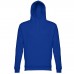 Sweat-Shirt "Phoenix"