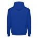 Sweat-Shirt "Phoenix"
