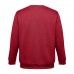 Sweat-Shirt "Delta"